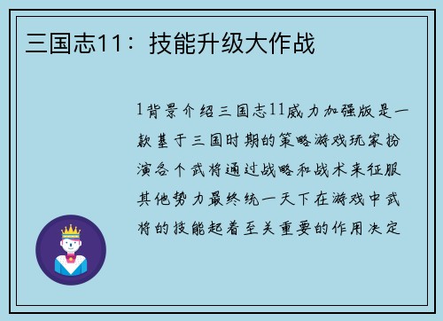 三国志11：技能升级大作战