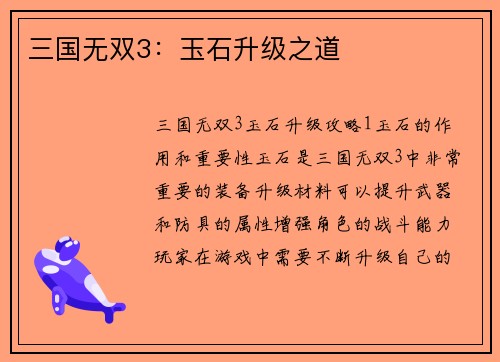 三国无双3：玉石升级之道
