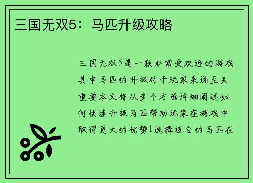 三国无双5：马匹升级攻略