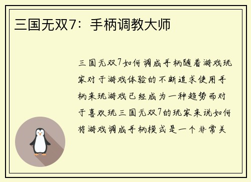 三国无双7：手柄调教大师